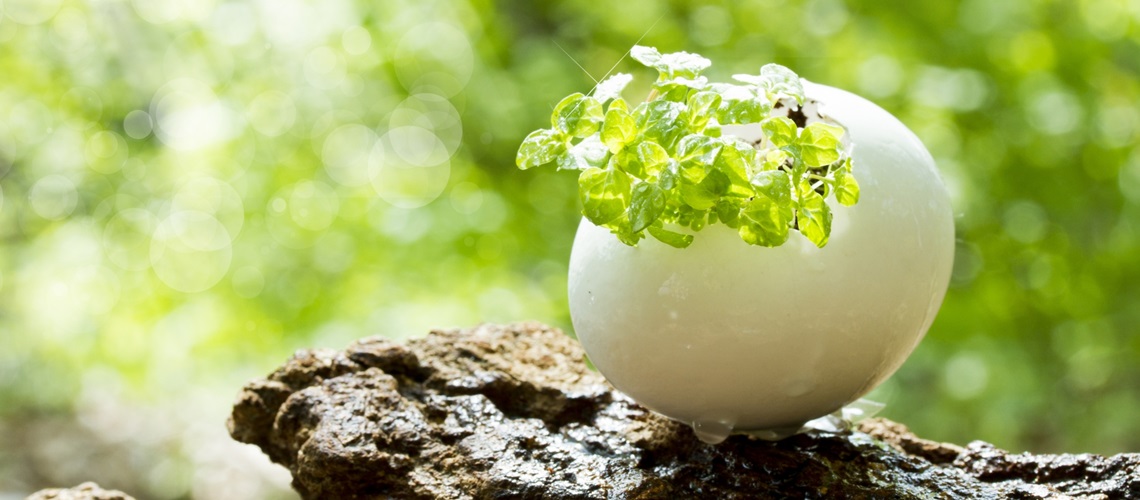 アニッシュインターネットスクール代表のごあいさつ